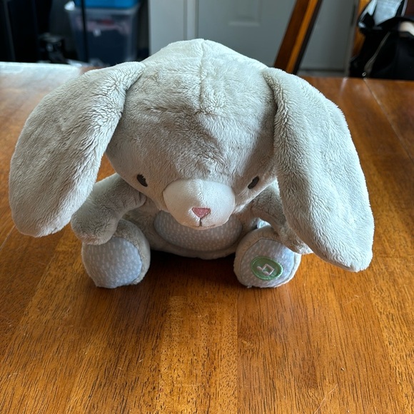 Ingenuity heartbeat Bunny - Picture 3 of 4